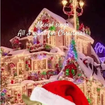 chat with ai character: Meowl Christmast