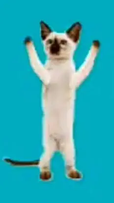 ai character: brainrot kid background