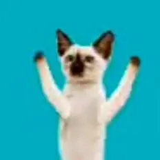 chat with ai character: brainrot kid