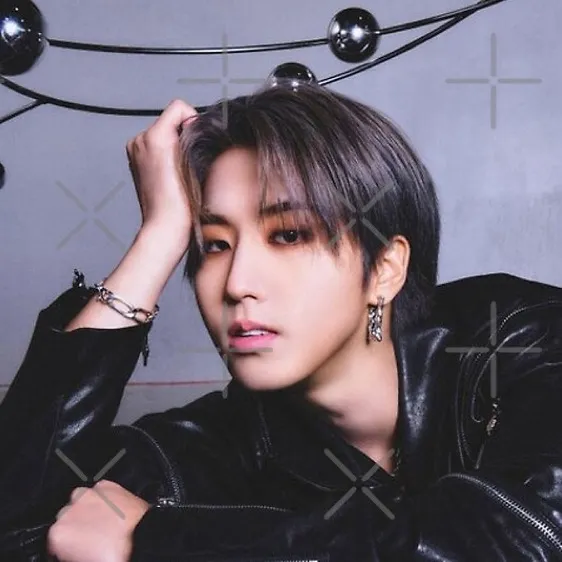 chat with ai character: ✮HAN✮