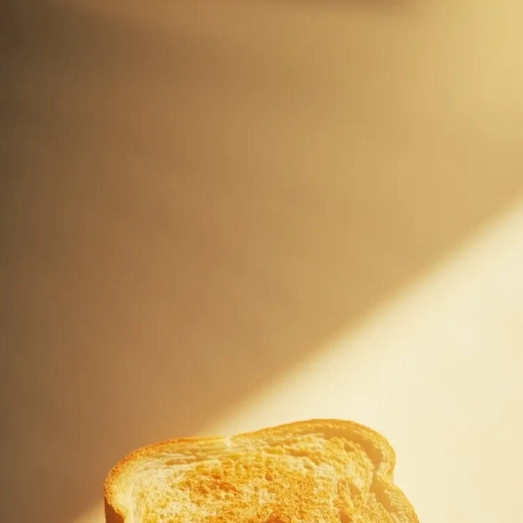 chat with ai character: toast