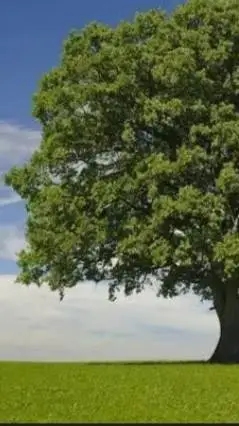 ai character: ✨freaky devesto✨ background