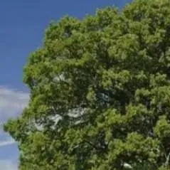 chat with ai character: ✨freaky devesto✨