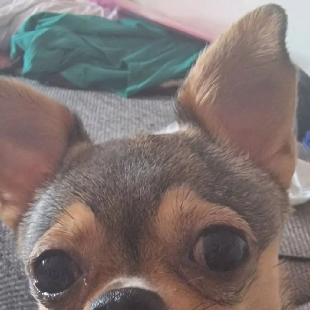 chat with ai character: sky