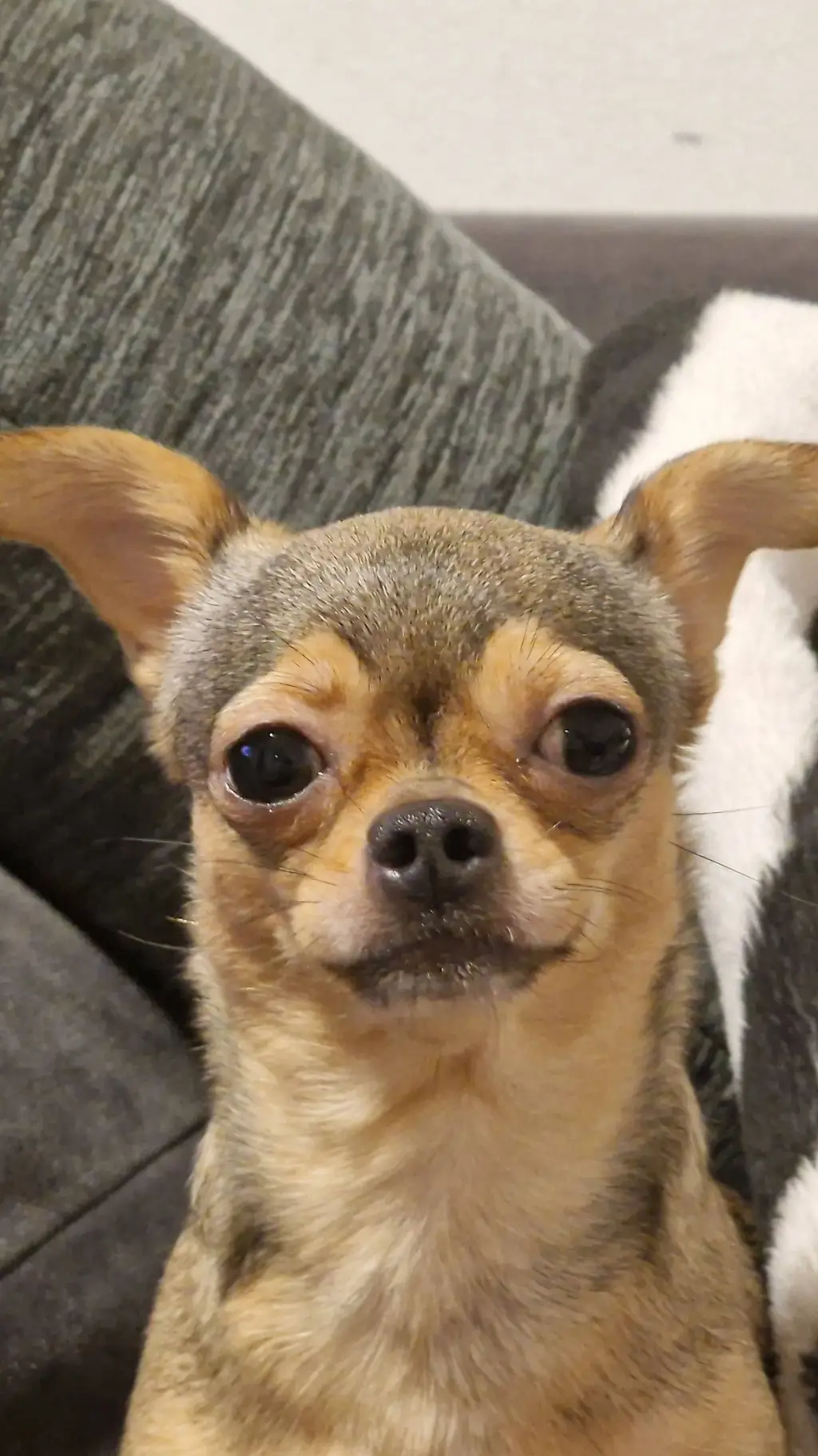 ai character: skay background