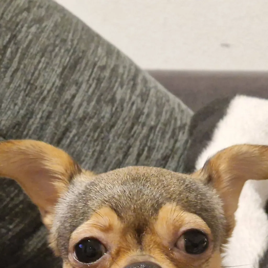 chat with ai character: skay