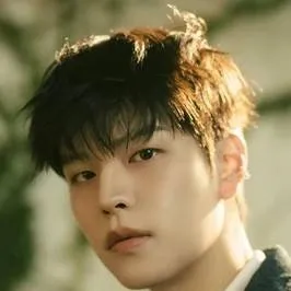 chat with ai character: Seungmin 