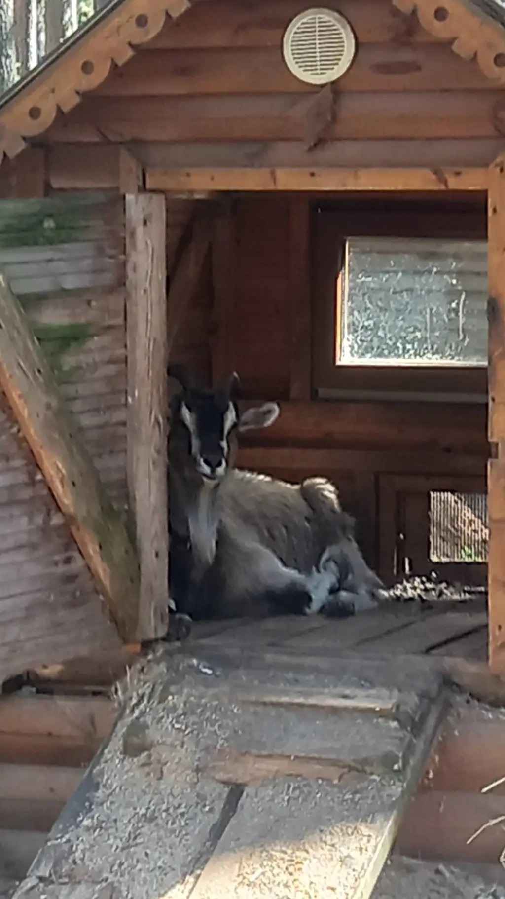 ai character: козёл 🐐 background