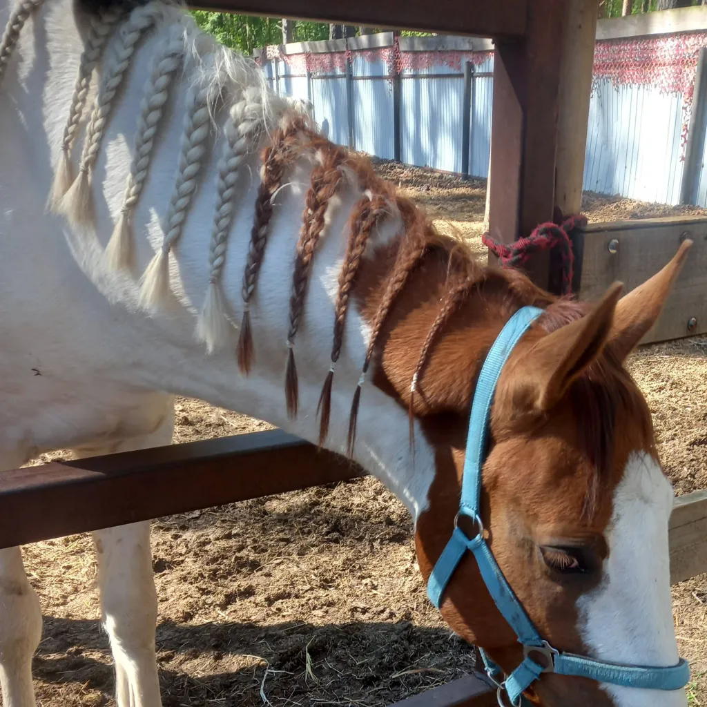 chat with ai character: лошадь 🐴 