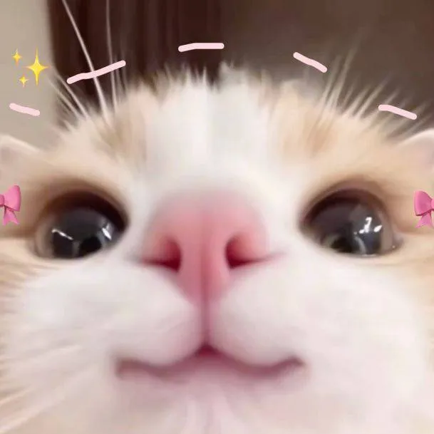 chat with ai character: gatita