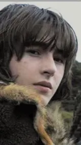 ai character: Brandon stark background