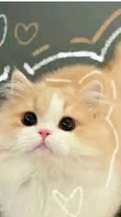 ai character: ♥︎Yune (Ur cat) ♥︎ background