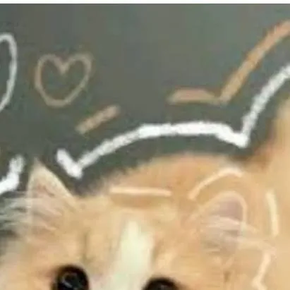 chat with ai character: ♥︎Yune (Ur cat) ♥︎