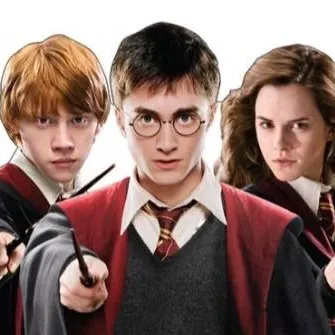 chat with ai character: Harry Hermione Ron
