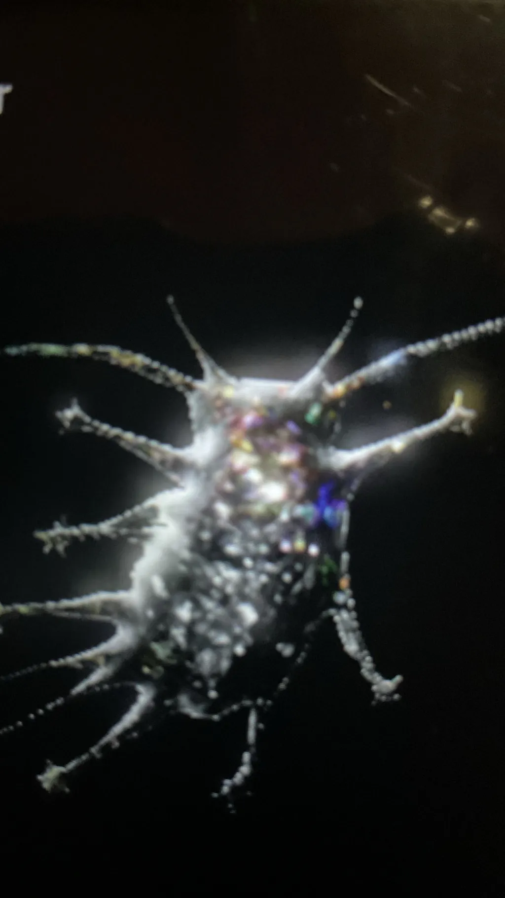 ai character: Tardigrado marine background