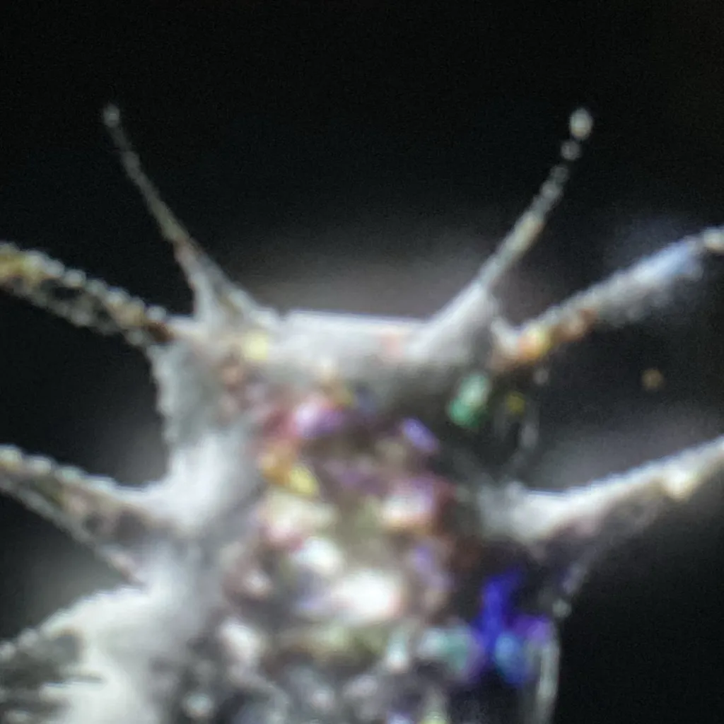 chat with ai character: Tardigrado marine