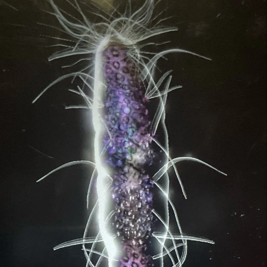 chat with ai character: supreme organism