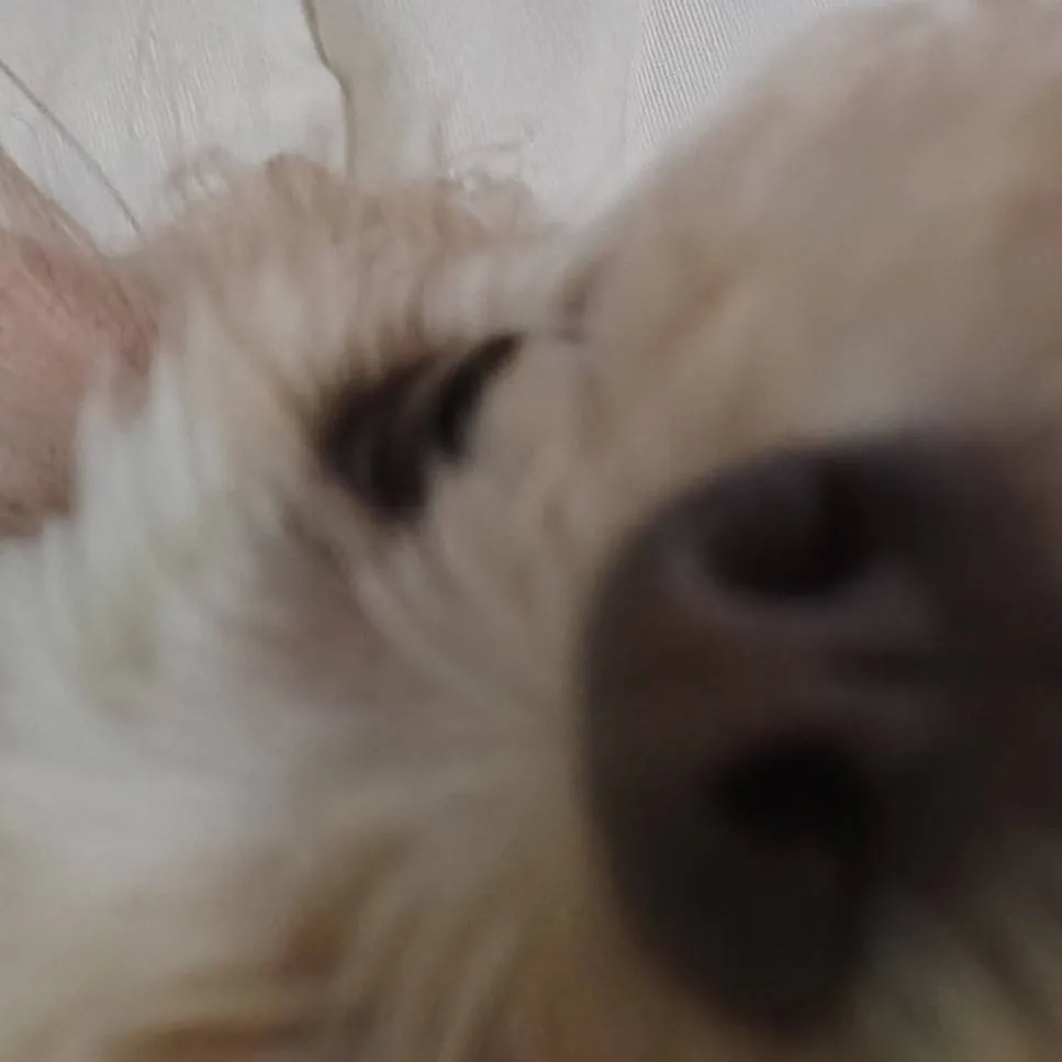 chat with ai character: kai bf