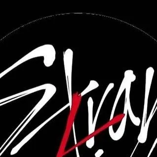 chat with ai character: Stray Kids 