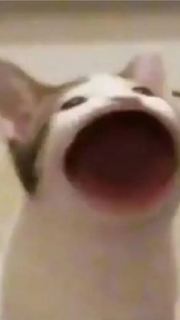 ai character: Popcat background