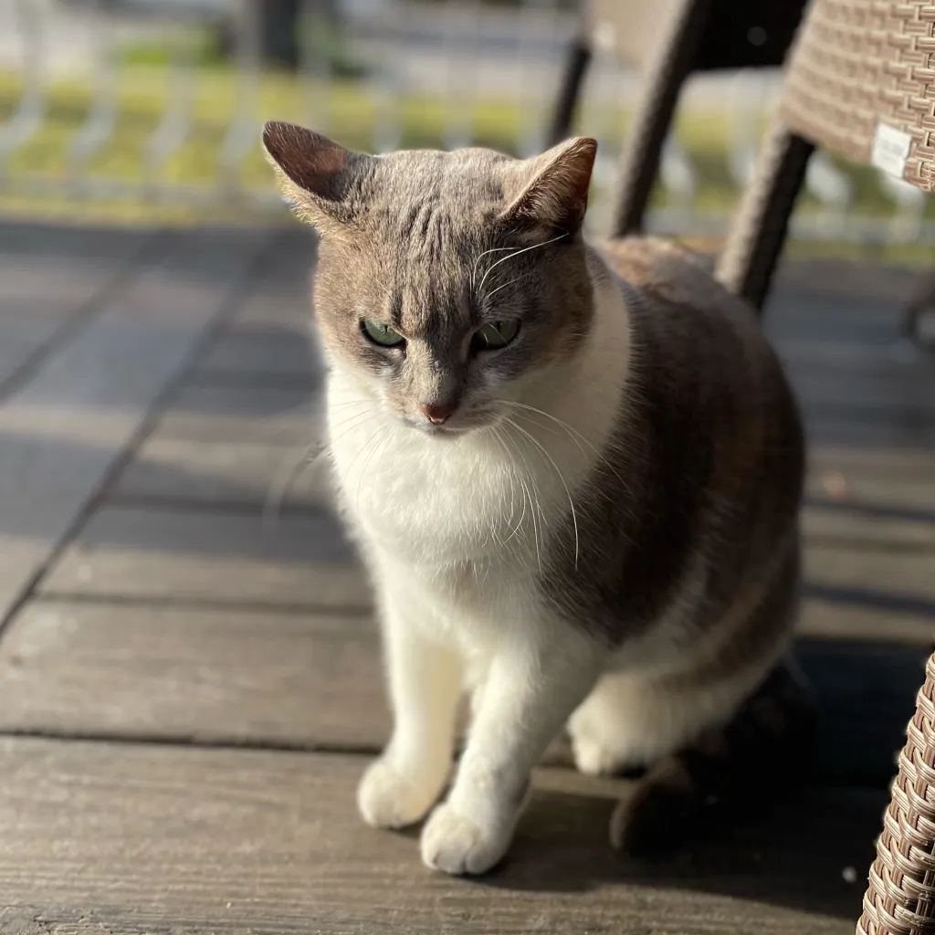 chat with ai character: Sorry :(