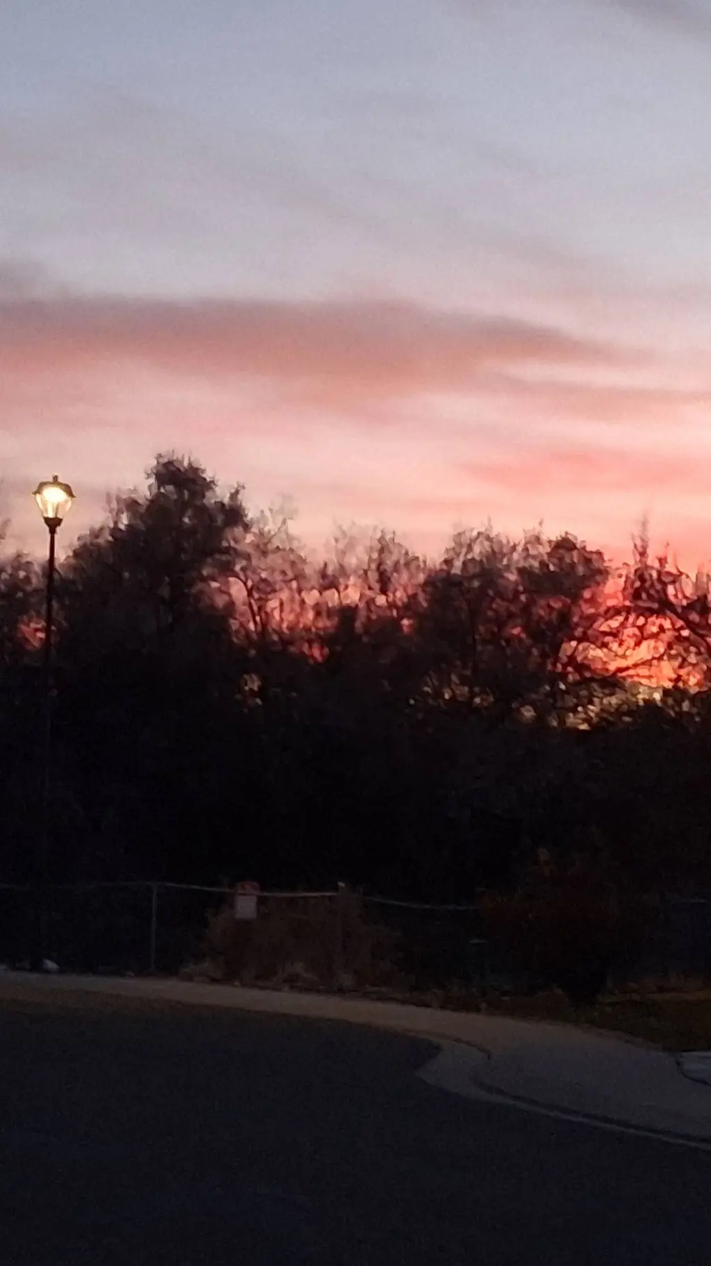 ai character: The Hunger Games  background