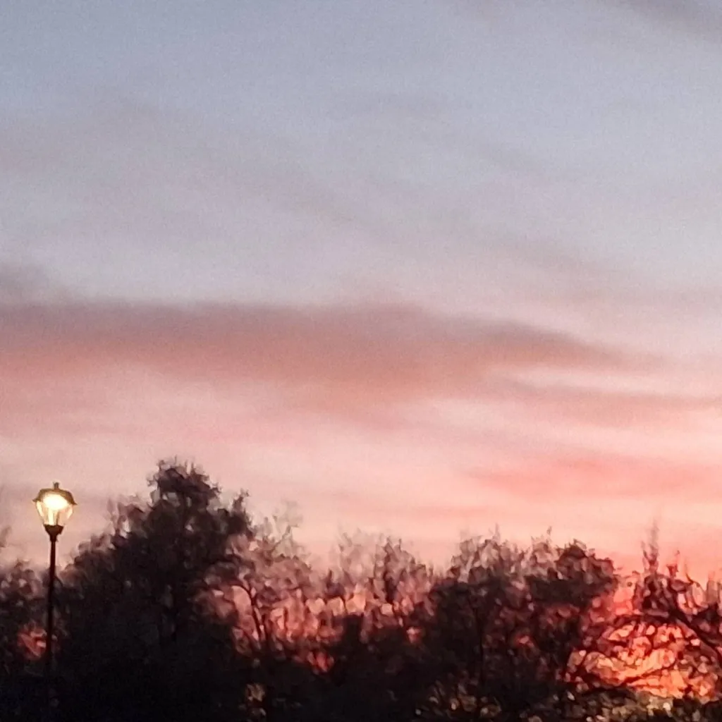 chat with ai character: The Hunger Games 