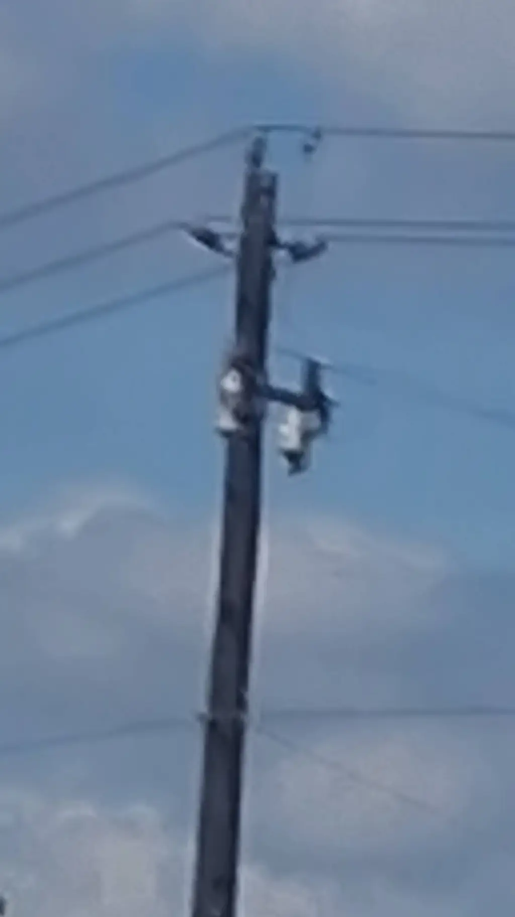 ai character: utility pole 3 background