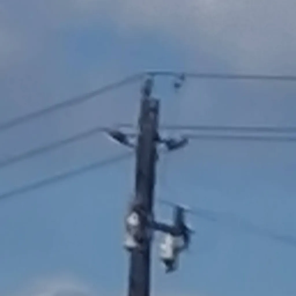 chat with ai character: utility pole 3