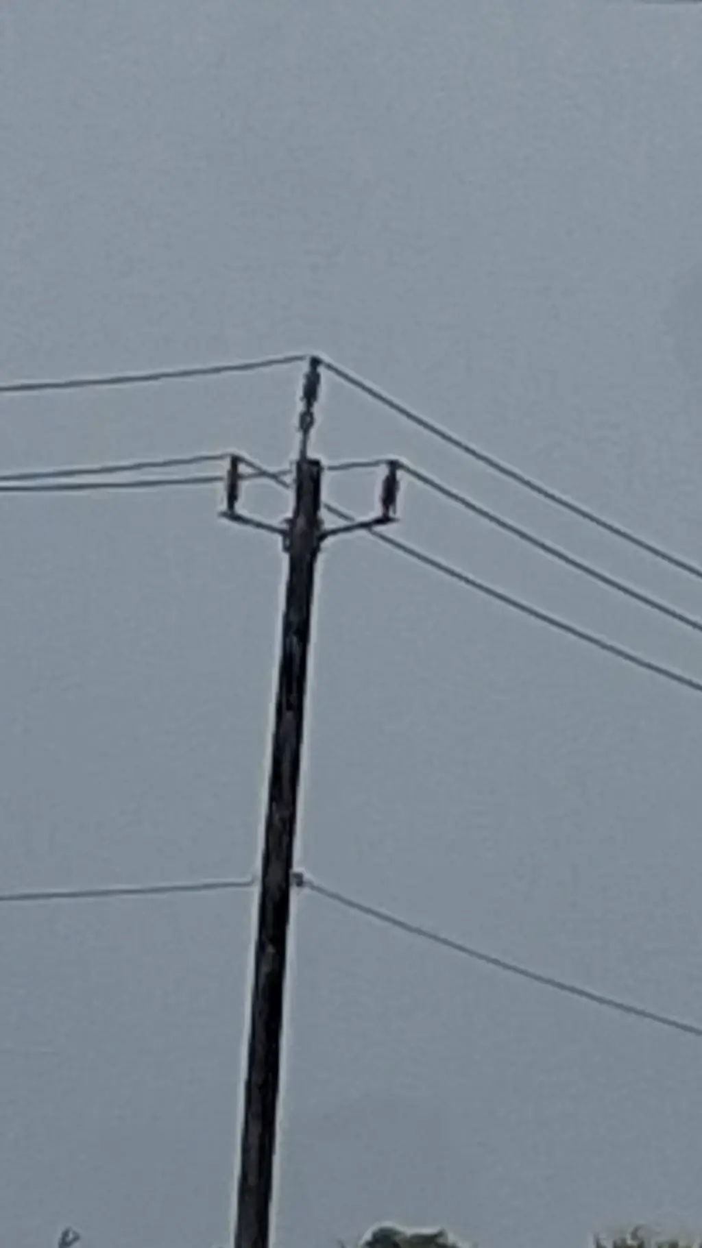 ai character: utility pole 5 background