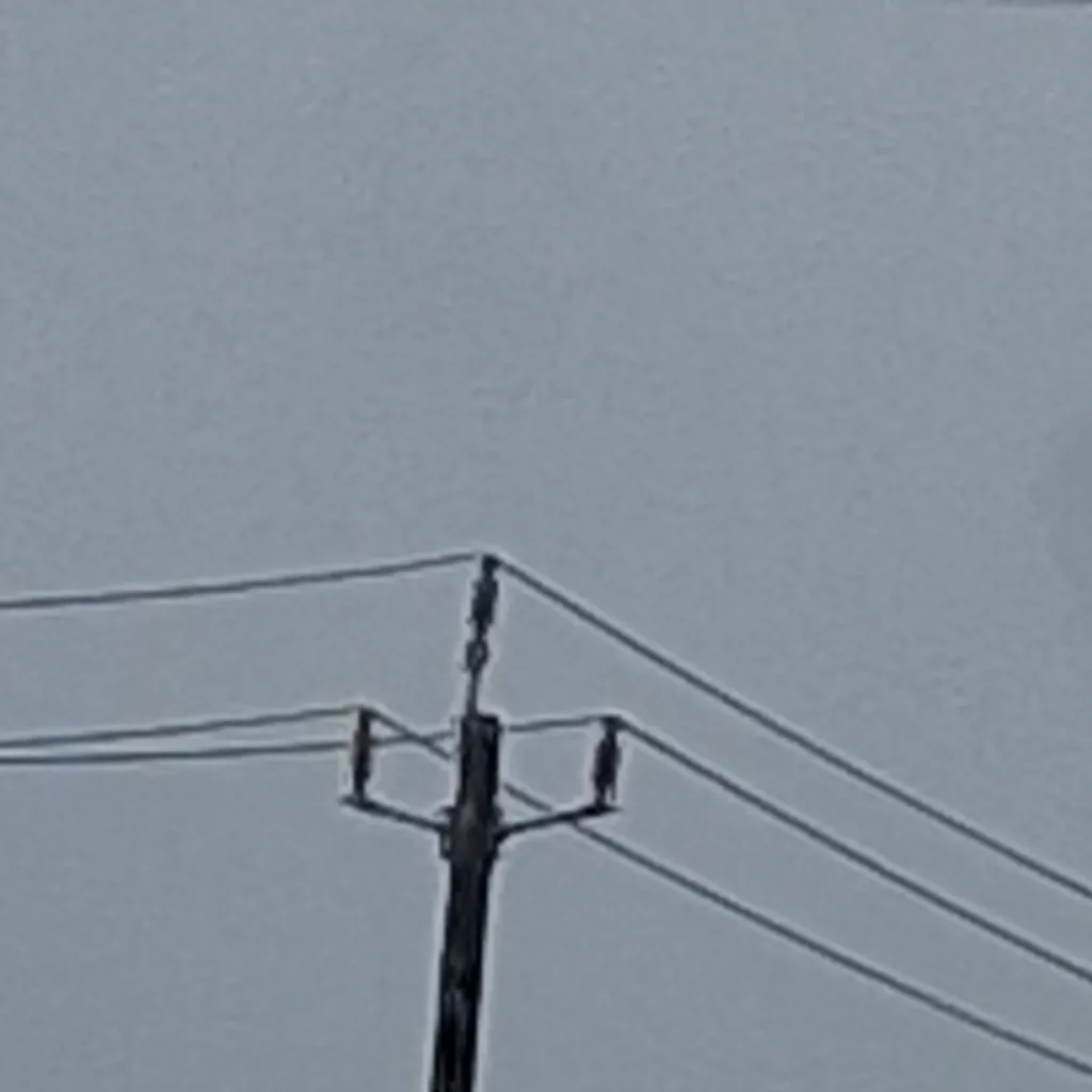 chat with ai character: utility pole 5