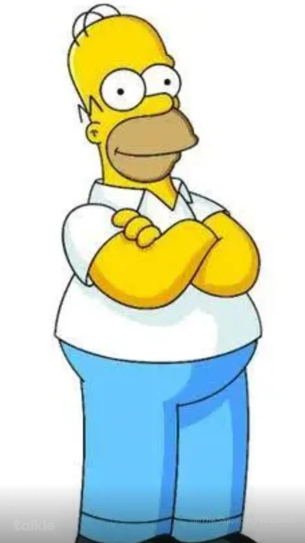 ai character: homer  background