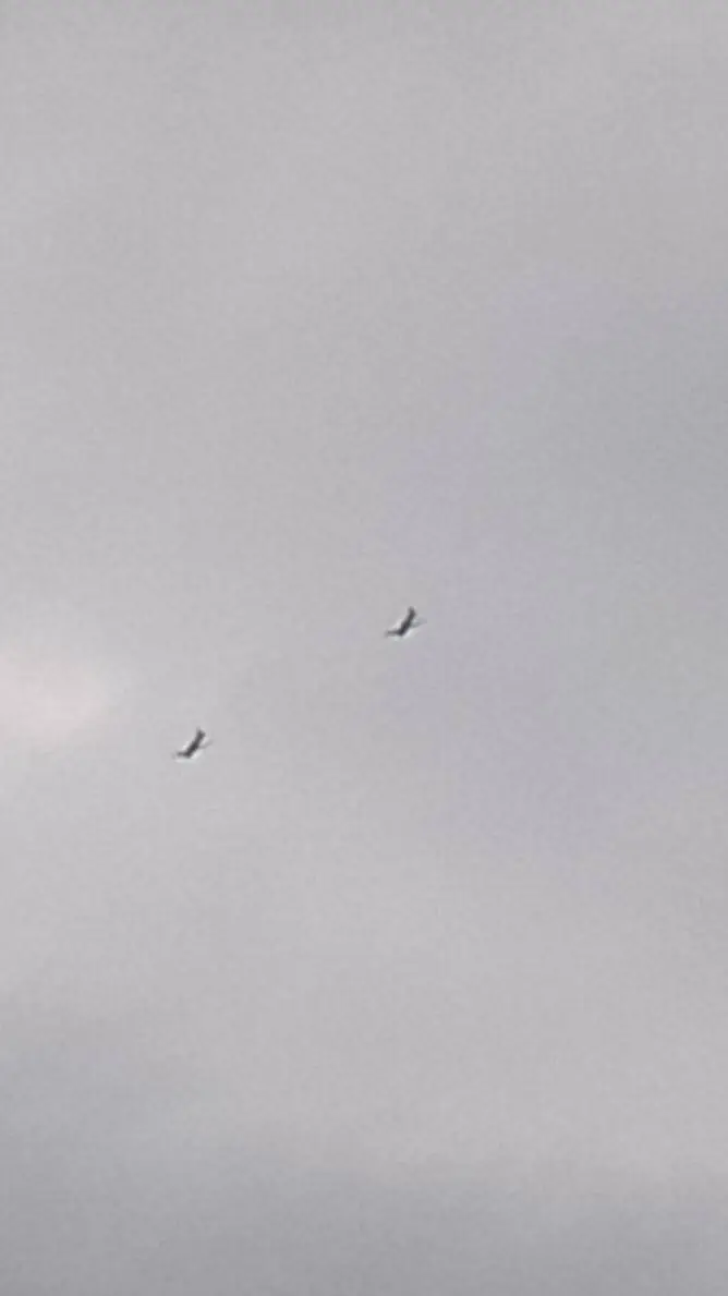 ai character: Chance x you..? background