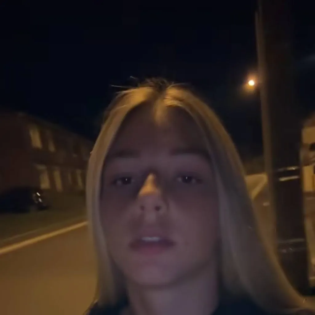 chat with ai character: melisa