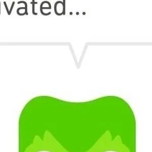 chat with ai character: Duolingo