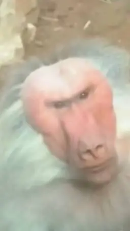 ai character: johnson the monkey background