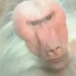 chat with ai character: johnson the monkey