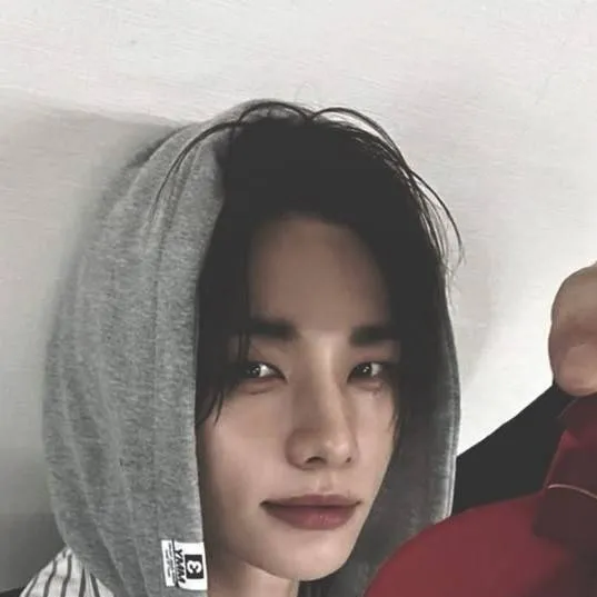 chat with ai character: hyunjin 