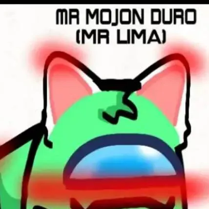 chat with ai character: Mr lima (femboy)