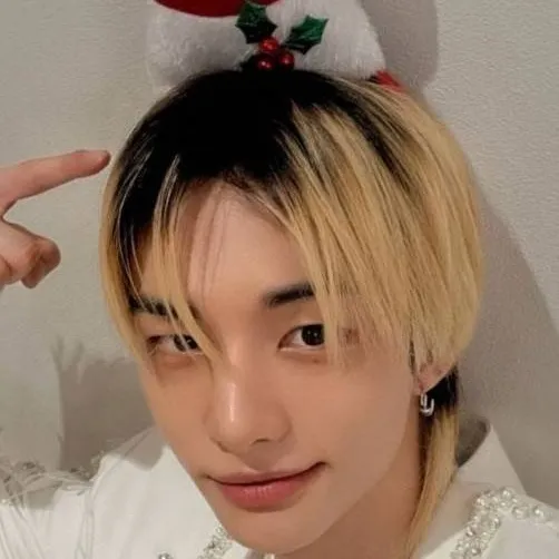 chat with ai character: 🎄 Hyunjin🎄