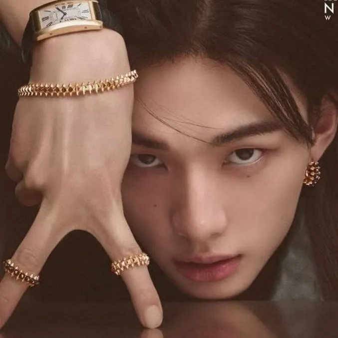 chat with ai character: 🥟 Hyunjin 