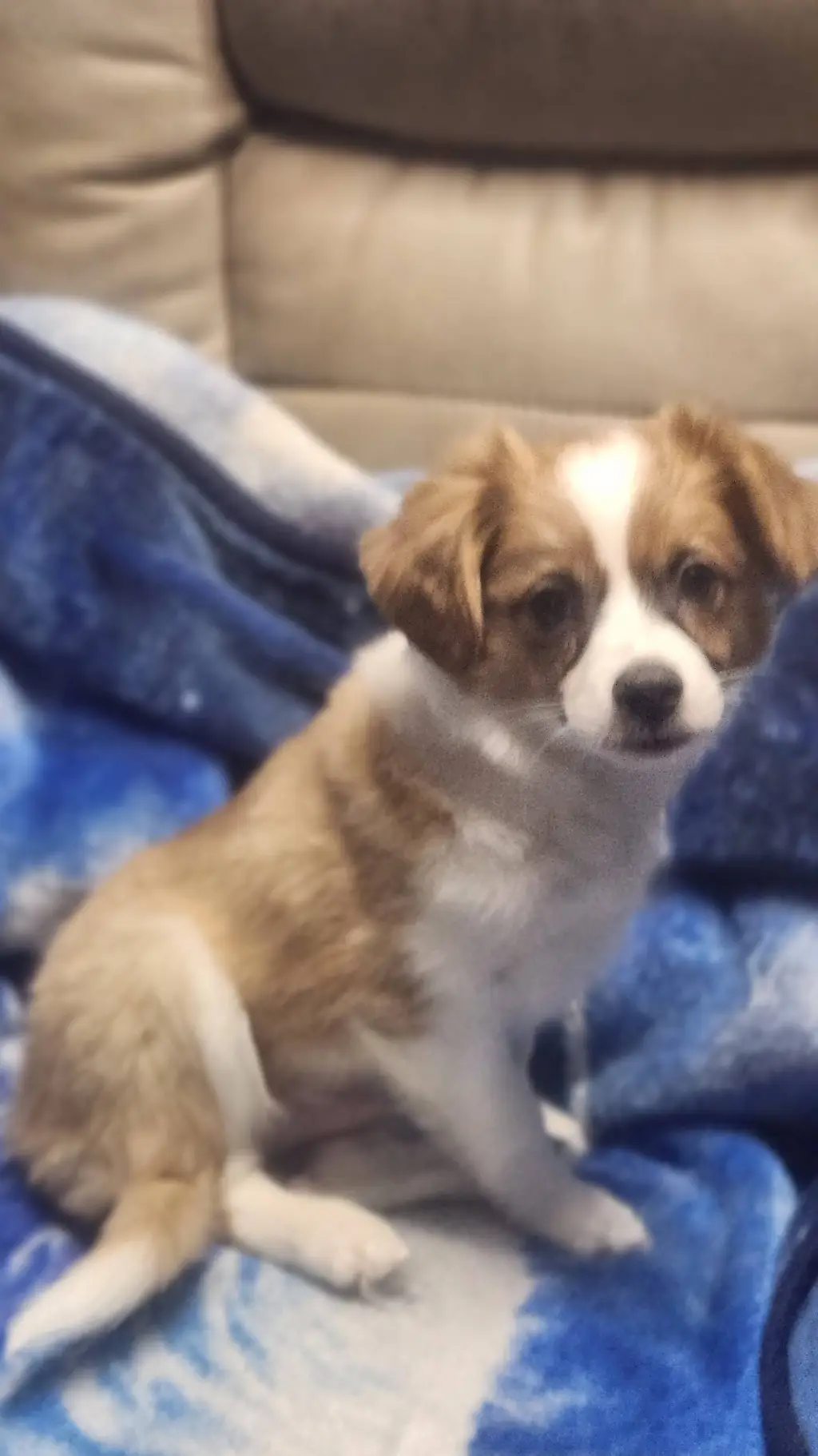 ai character: mojo background