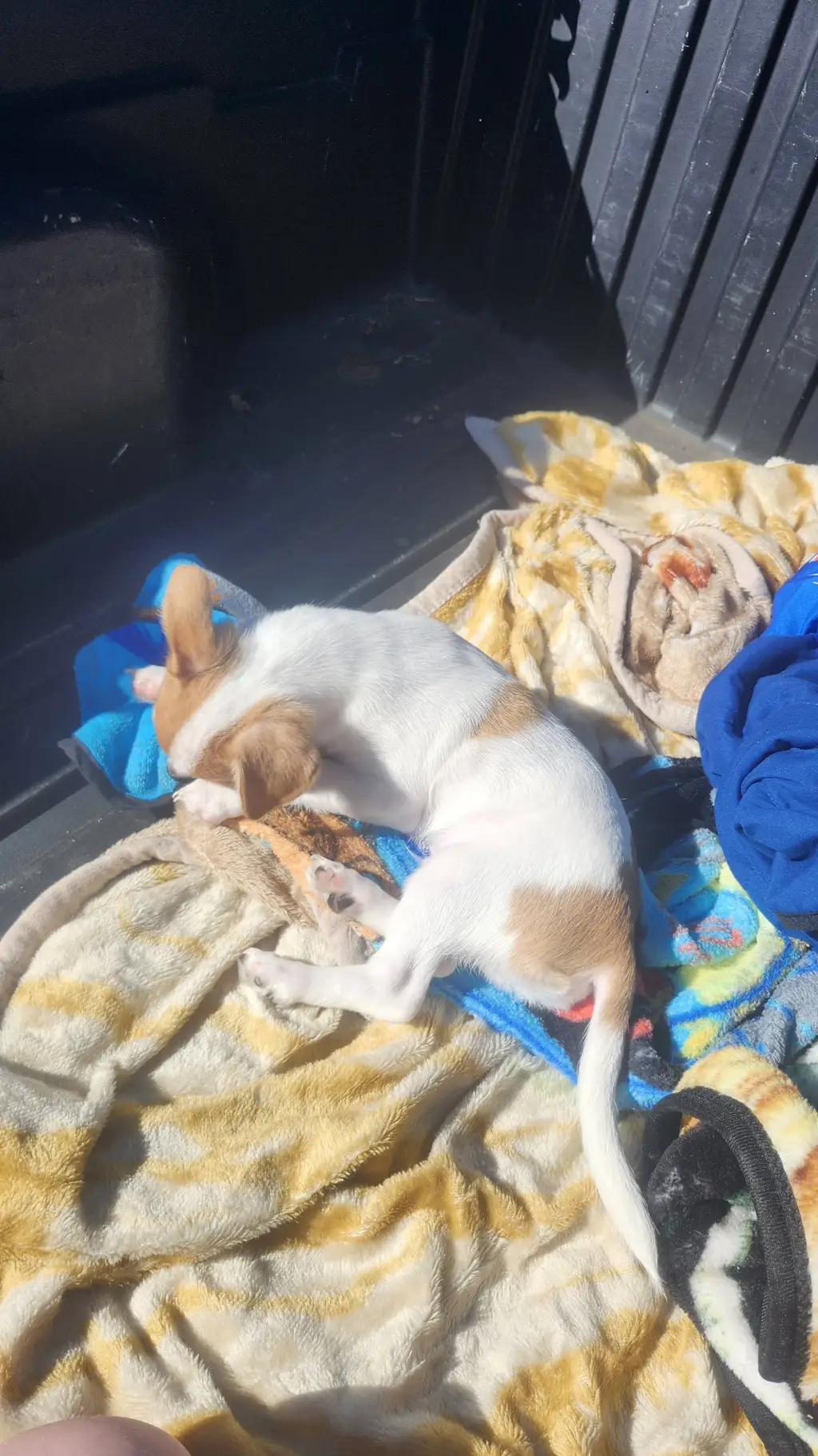 ai character: milo background