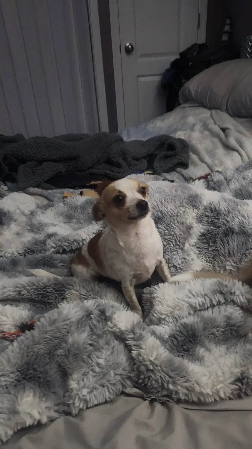 ai character: cosmo background