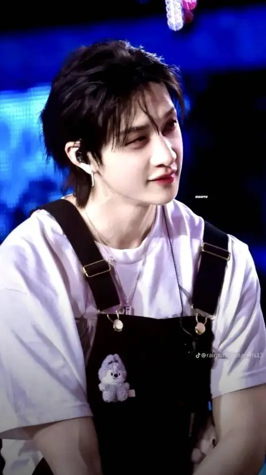 ai character: skz Berry background