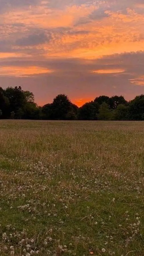 ai character: The rookie background