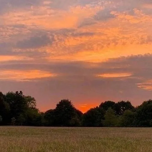 chat with ai character: The rookie