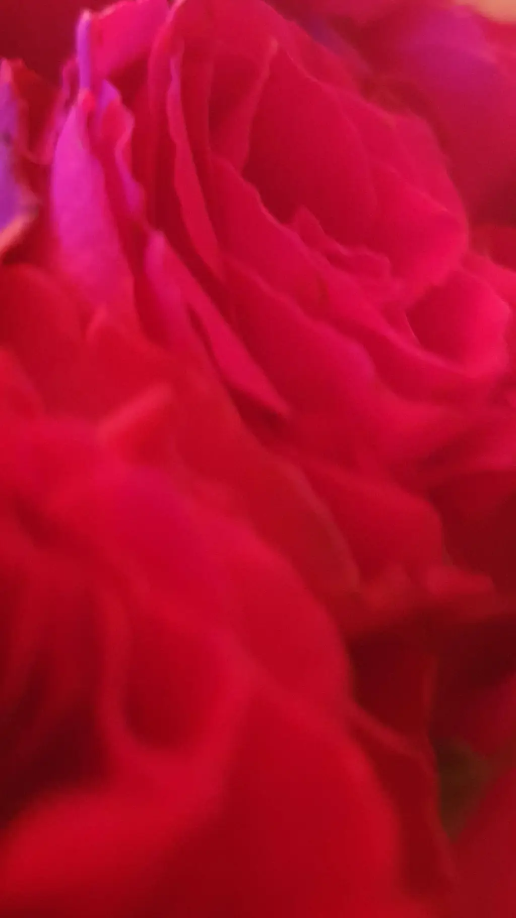 ai character: The Rookie background