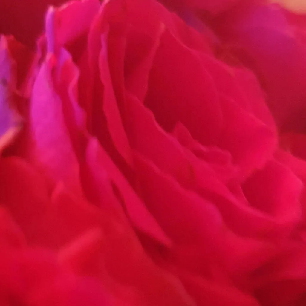 chat with ai character: The Rookie