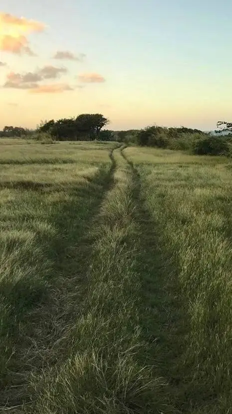 ai character: THE ROOKIE background